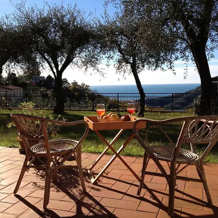A Relaxing Surrounded By Olive * Leivi